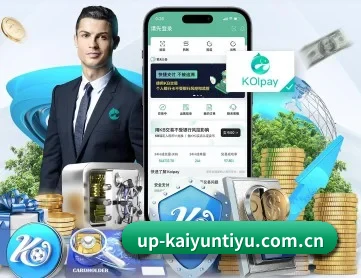 开云体育 APP 深度功能 - kaiyun